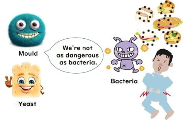 Can bacteria cause mold?