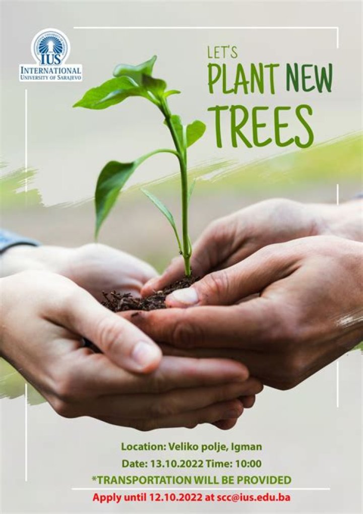 Can I just plant a tree anywhere?