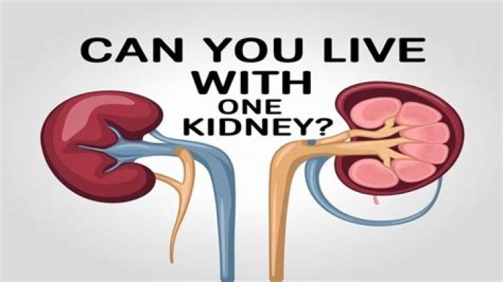 Can you live with one kidney?