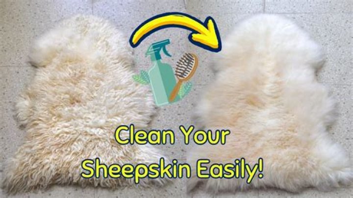 Can you put sheepskin in the dryer?