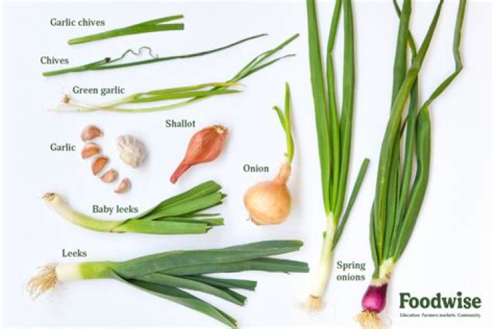 Can you substitute onion for scallions?