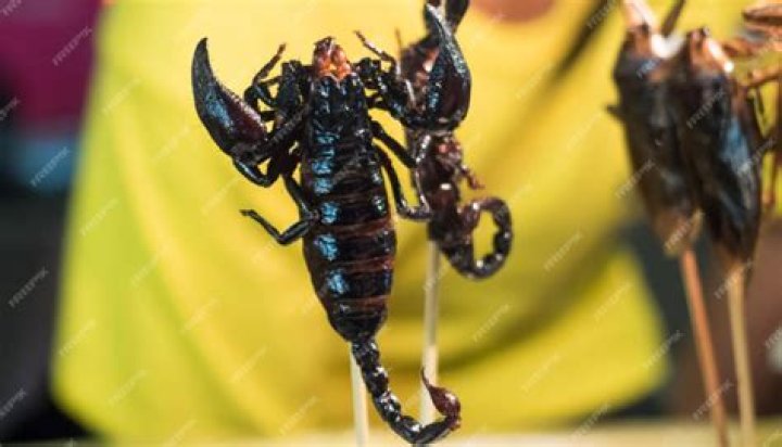 Does boric acid kill scorpions?