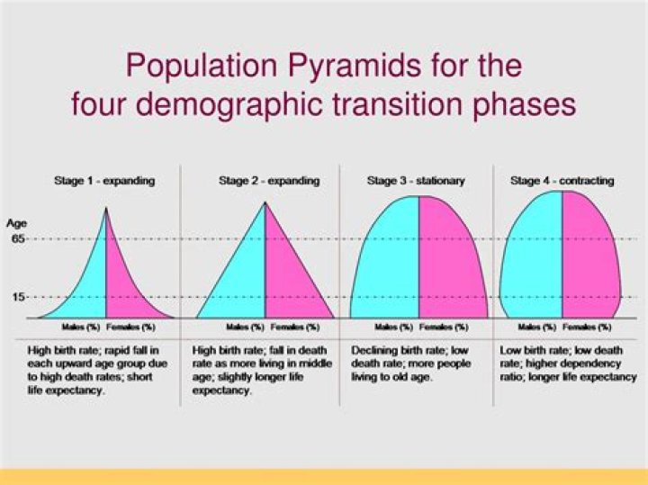 During what stage of the demographic transition does population increase dramatically?