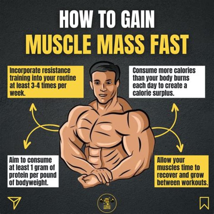 How can I build muscle fast Quora?