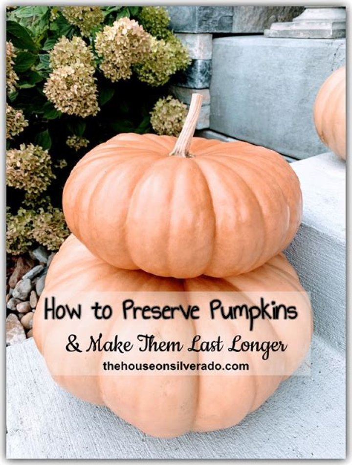 How can I make my bleached pumpkin last longer?