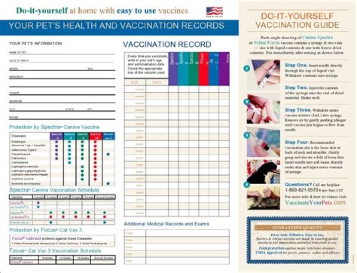How do I get my shot records in Mississippi?