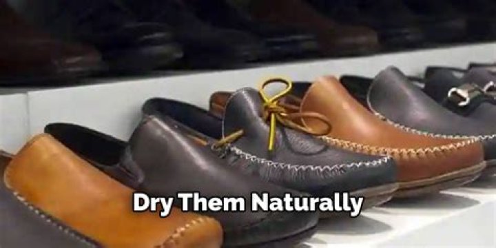 How do you dry leather shoes overnight?