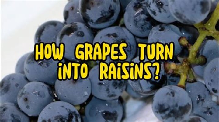 How do you make black raisins?