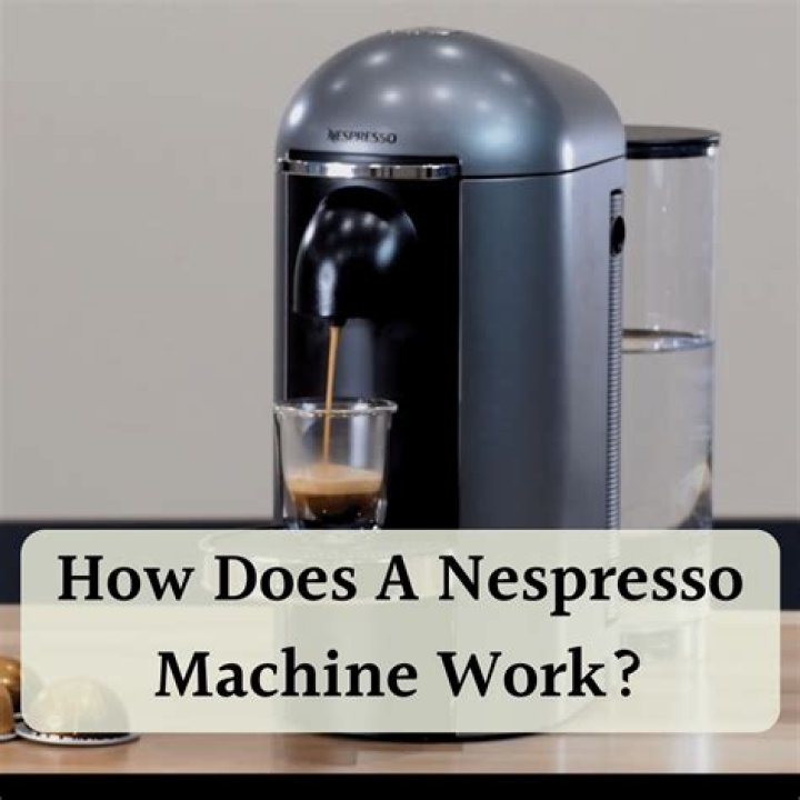 How do you put water in a Nespresso machine?