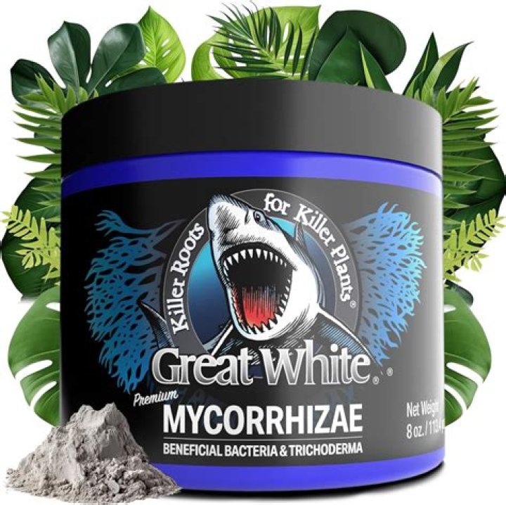 How do you use great white mycorrhizae in soil?
