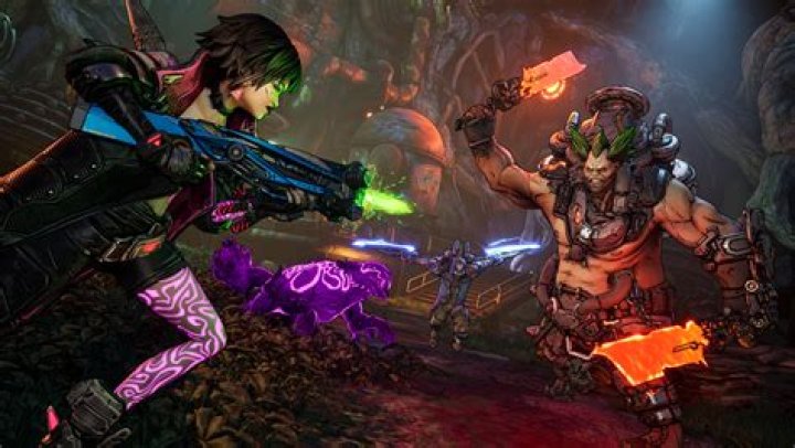 How does Coop work in Borderlands 2?
