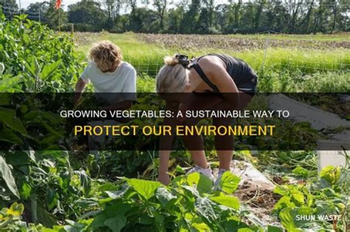 How does growing vegetables help the environment?