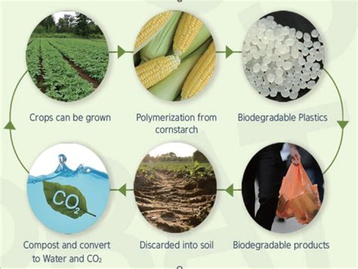 How is bioplastic made?