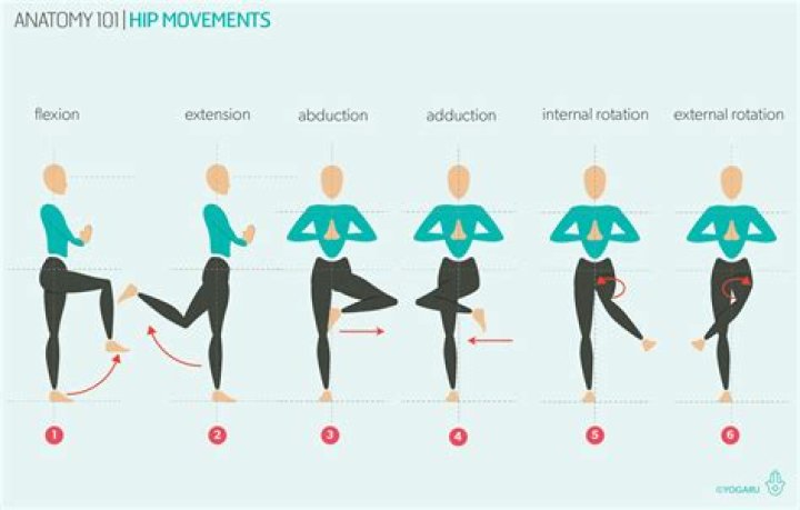 How many movements does a symphony have?
