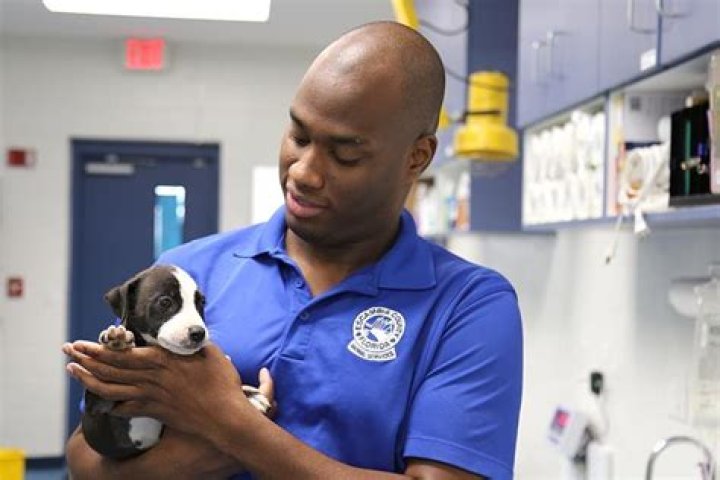 How much do animal shelter workers make an hour?