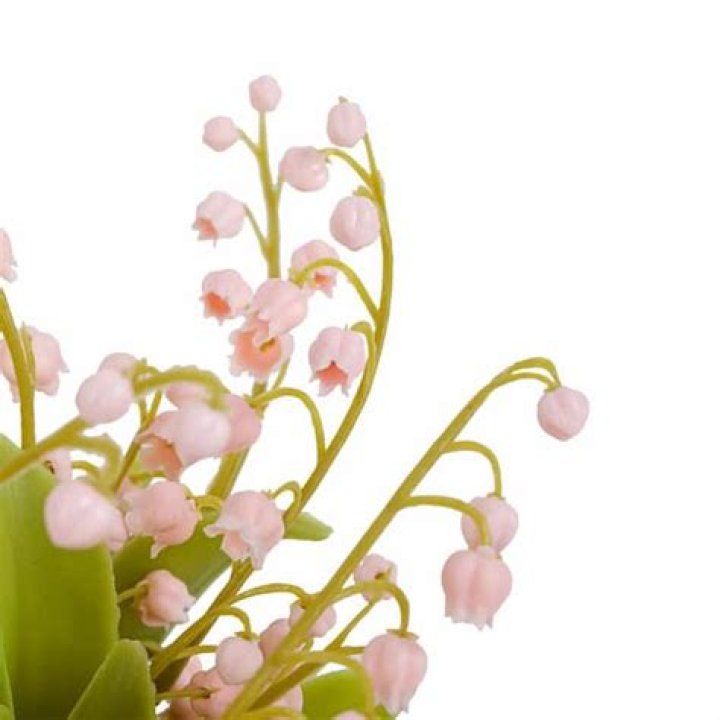 How much does a lily of the valley bouquet cost?