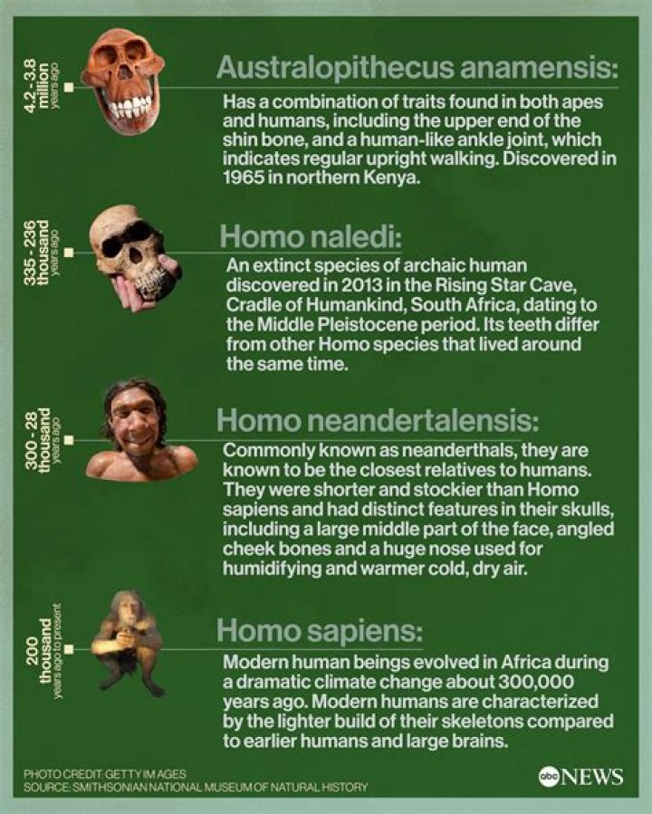 How old are Homosapien sapiens?