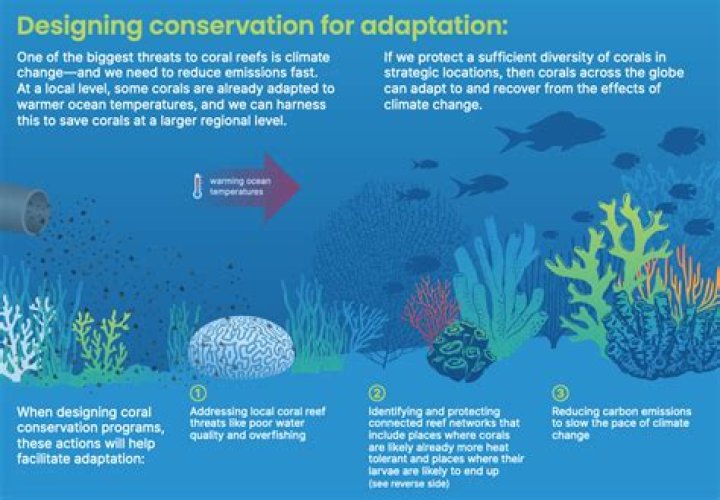 How will Logging affect a coral reef?