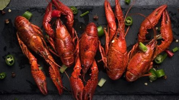 Is Lobster high in mercury?