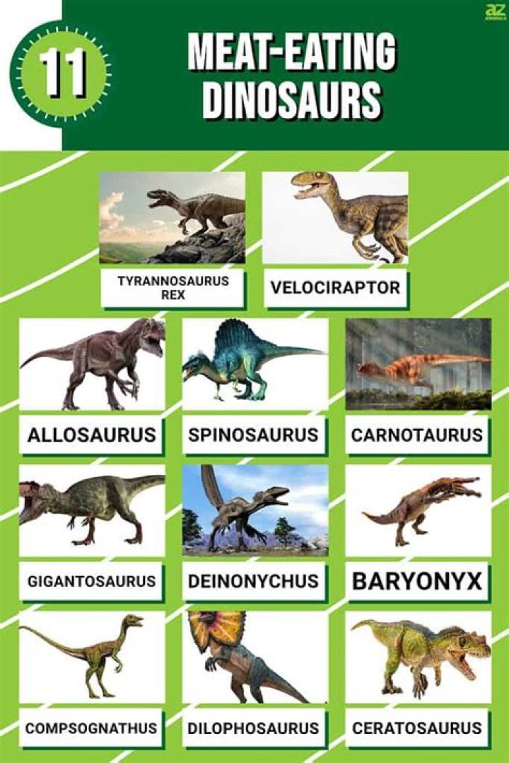 Were dinosaurs red or white meat?
