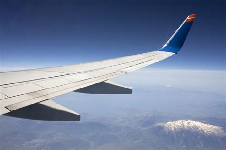 What are airplane wings made of?
