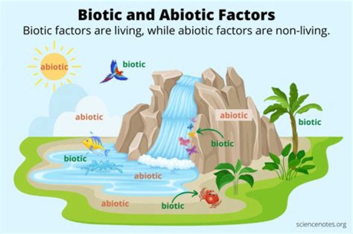 What are the abiotic and biotic factors of grasslands?