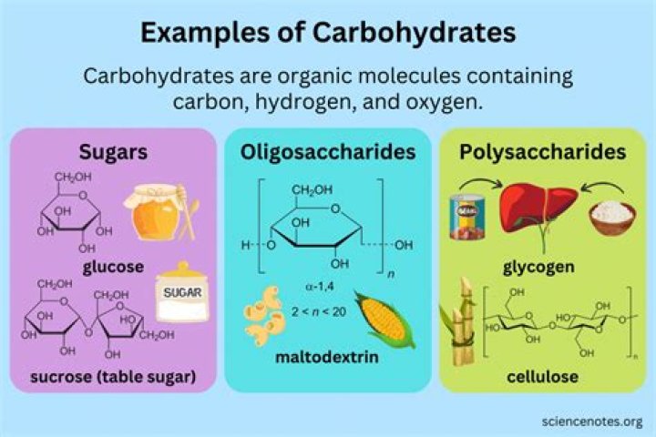 What are the chemical building blocks of carbohydrates?