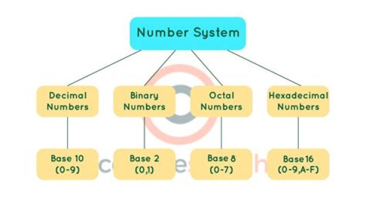 What are the uses of number system?