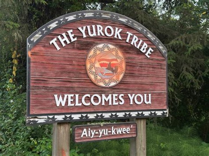 What did the Yurok eat?