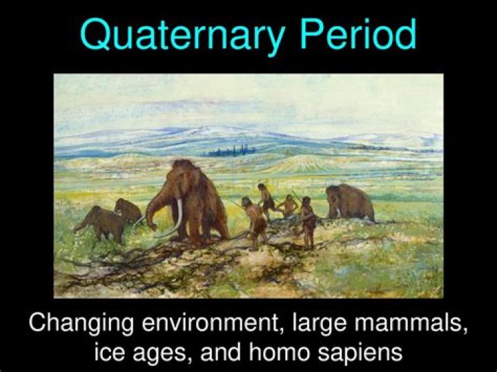What does Quaternary Period mean in geography?