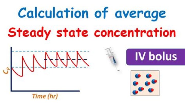 What does steady state concentration mean?
