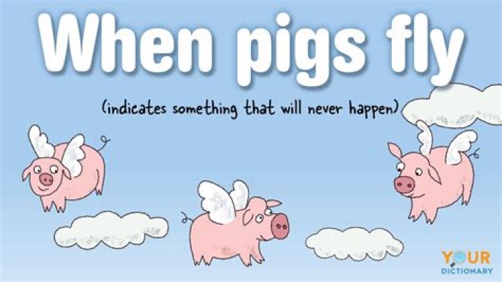 What does the idiom When Pigs Fly mean?