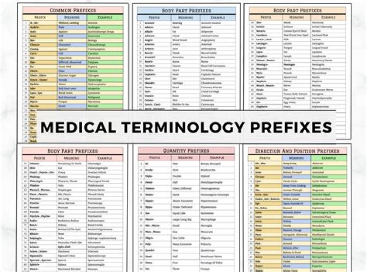 What does the medical prefix ante mean?