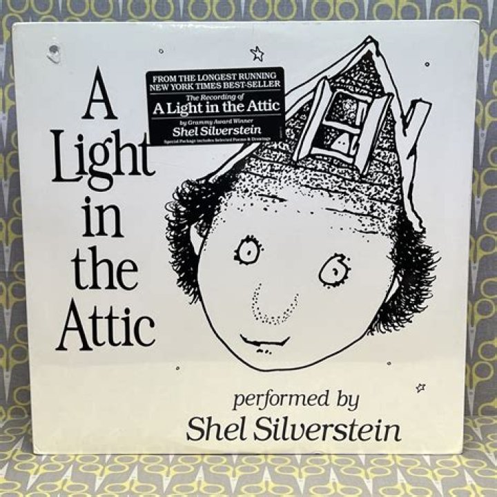 What genre is a light in the attic?