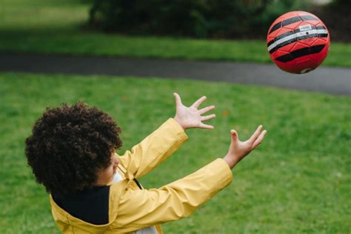 What happens when you throw a ball in the air?