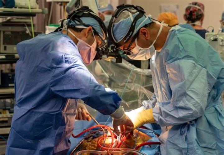 What is a gastro surgeon?