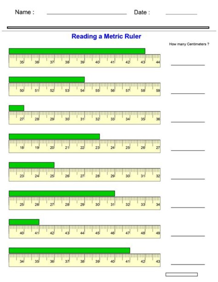What is a metric and standard ruler?