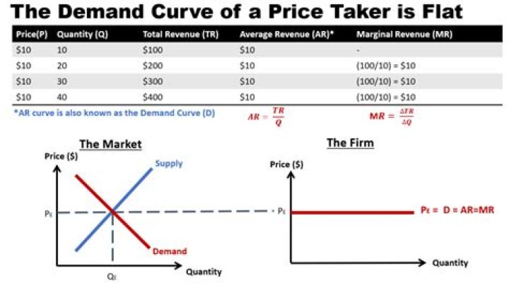 What is a price taker economics?