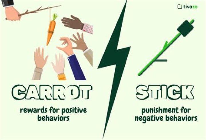 What is carrot and stick motivation?