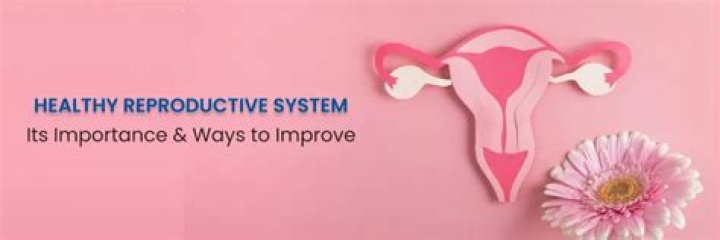 What is good reproductive health?