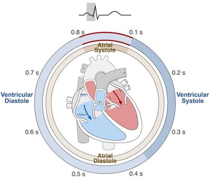 What is meant by CIFS?