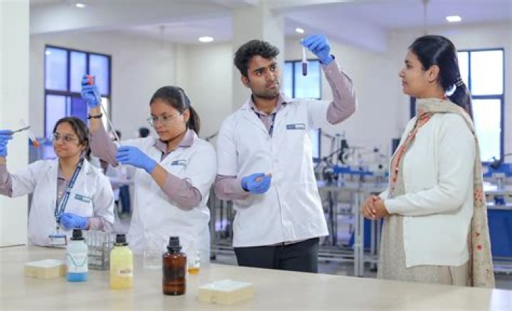 What is MSc MLT course?