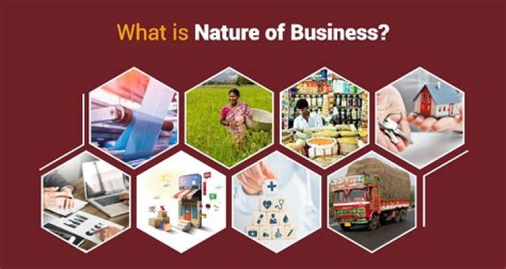 What is nature of business in business plan?
