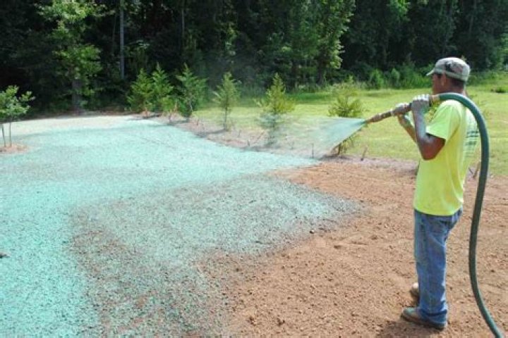 What is the average cost of hydroseeding?