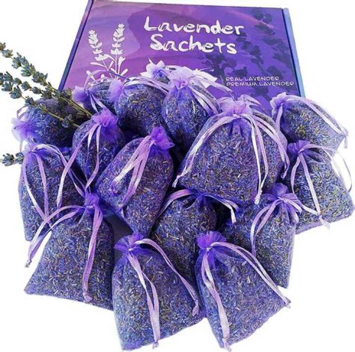 What is the best closet freshener?