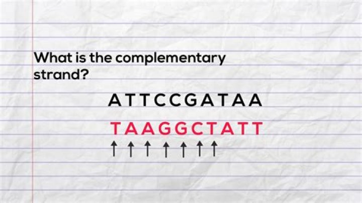 What is the complementary strand of RNA?