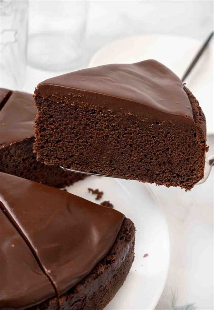 What is the mud cake?