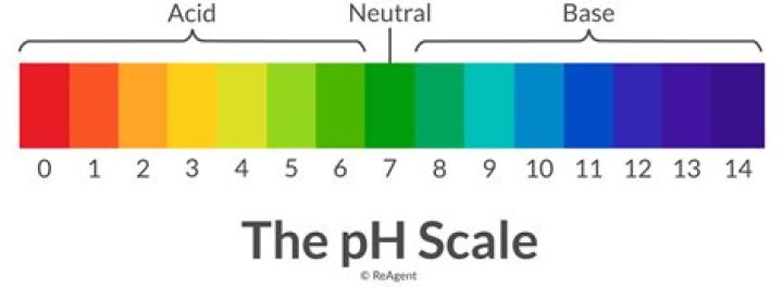 What is the pH of an acidic solution quizlet?