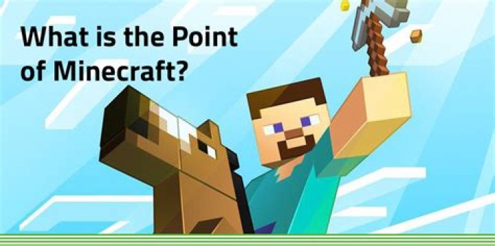 What is the point of a Spinbot?