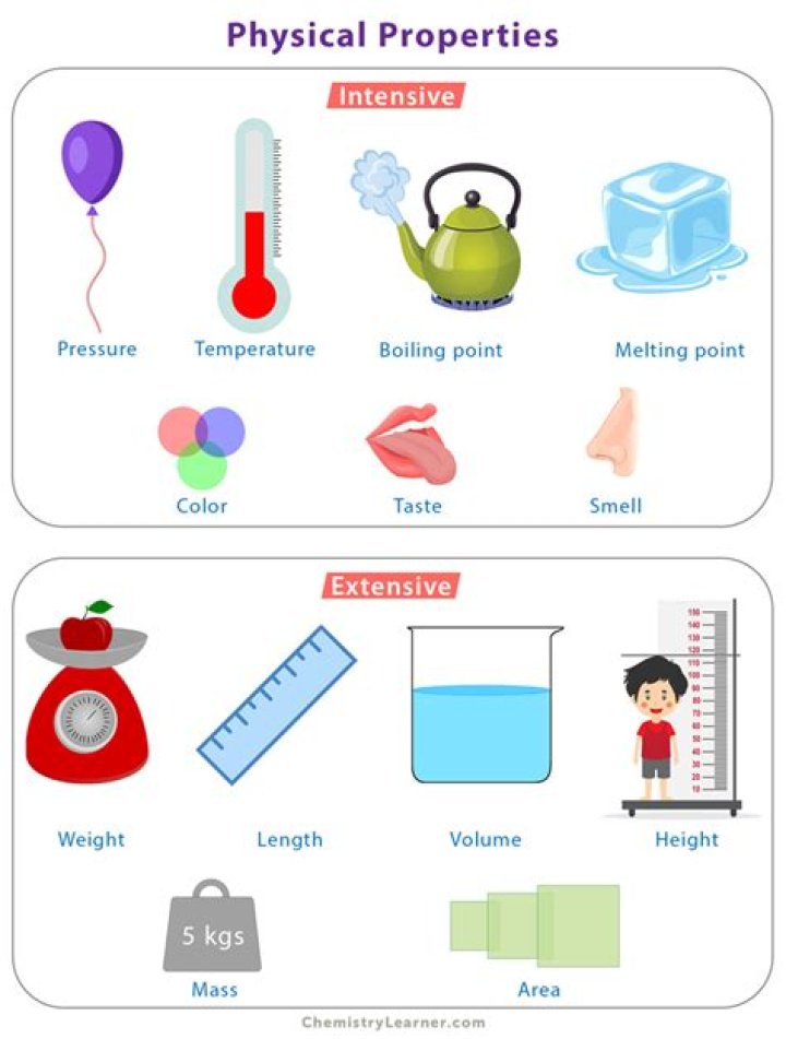 What physical properties do all stars have?